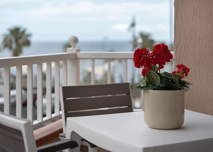 Bonjour 칸델라리아